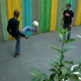 DSCN4164